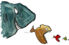 Agresivní akvarijní ryby: černá listina darebáků