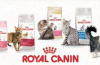 Sortiment a složení krmiva royal canin pro kočky