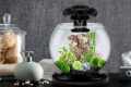 Recenze aquarium tetra duo waterfall globe