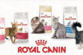 Sortiment a složení krmiva royal canin pro kočky