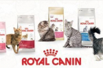 Sortiment a složení krmiva royal canin pro kočky