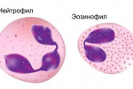 Biochemické a klinické krevní testy u psů