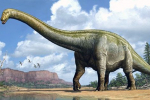 Diplodocus (lat. Diplodocus)